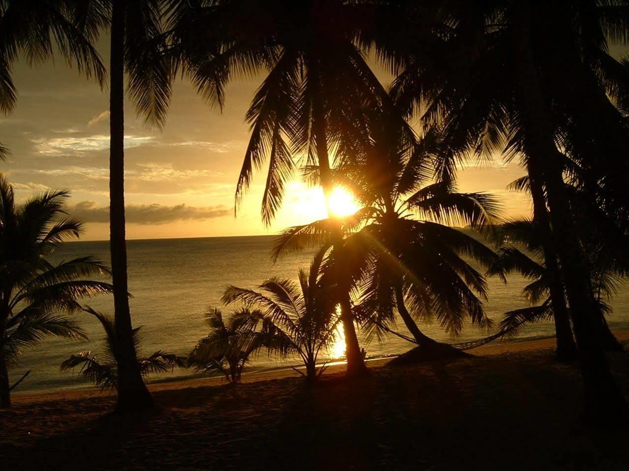 Palm Point Village