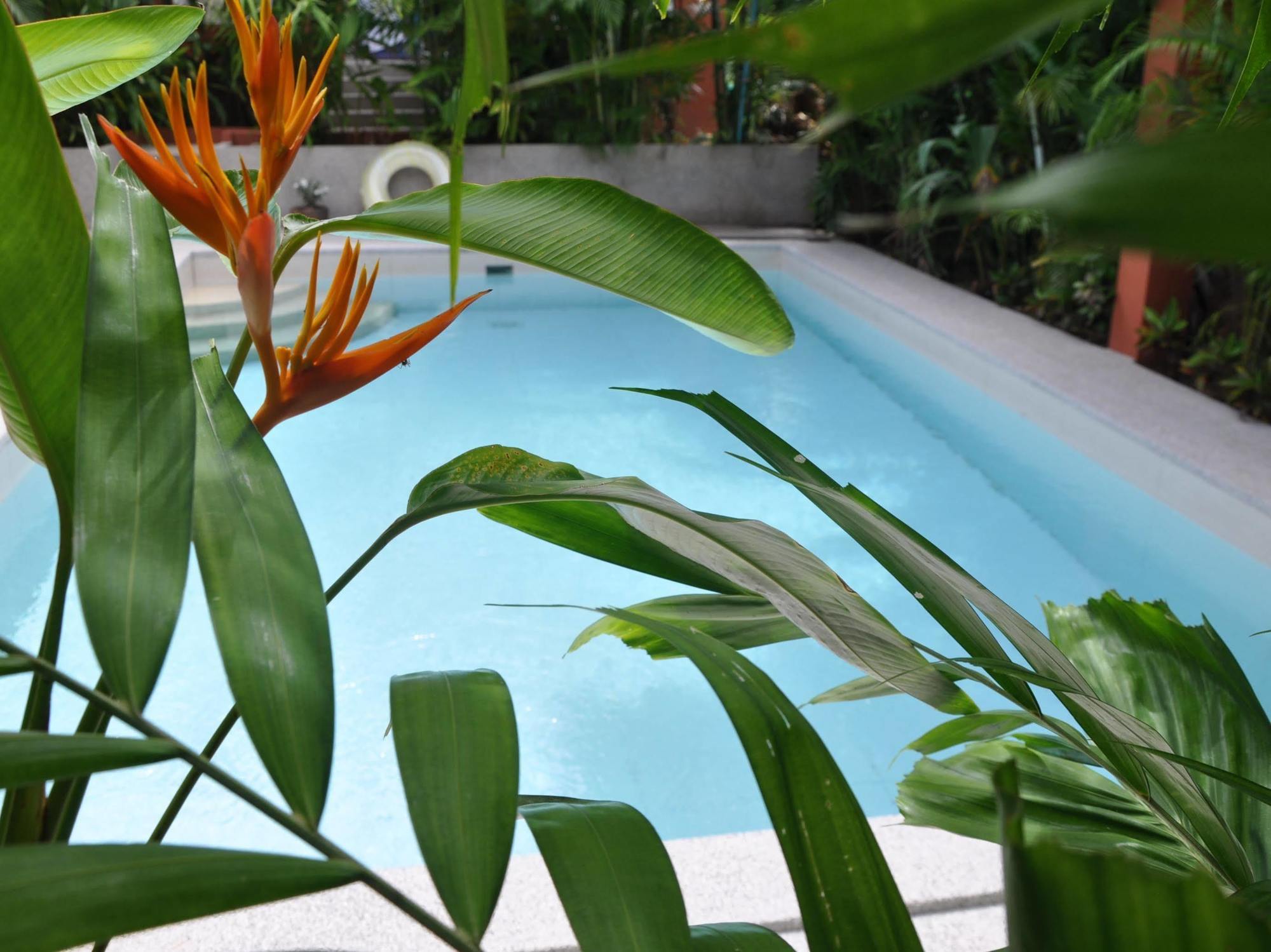 Resort Sallamai