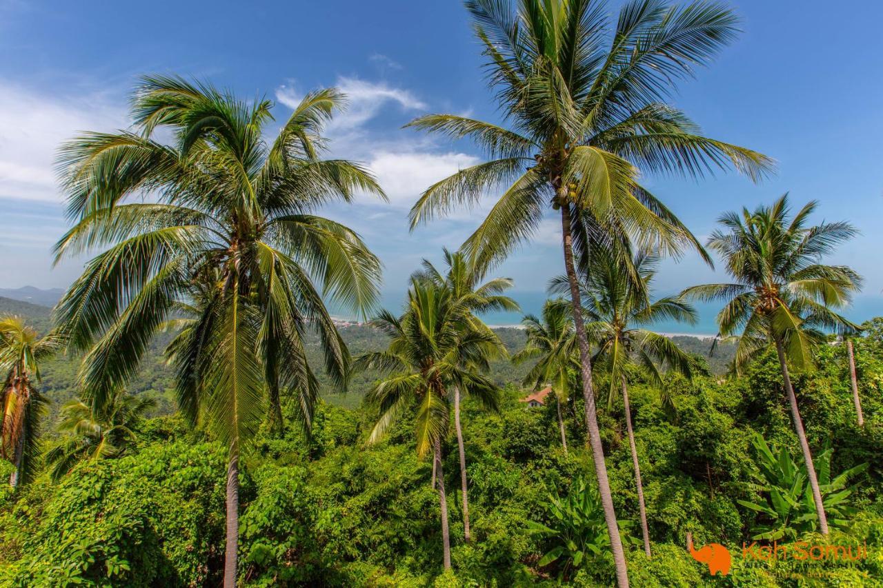 Samui Paradise Village *