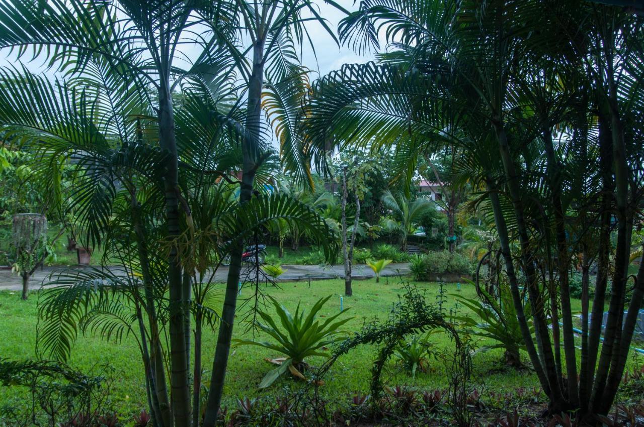 Eddy's Place Bophut