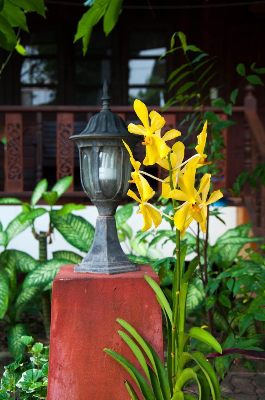 Hotel Mira Mare Koh Samui *