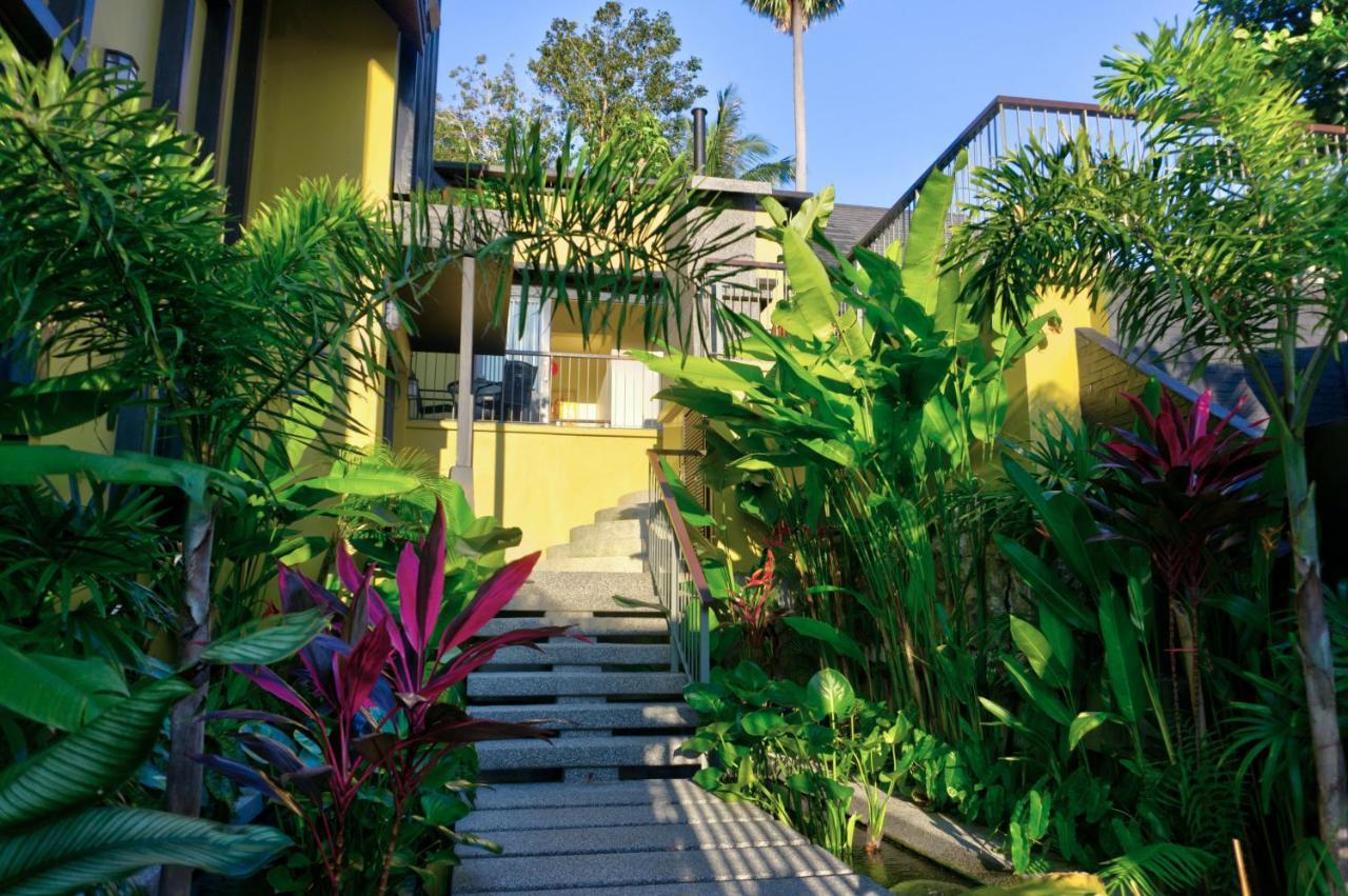 Butterfly Garden