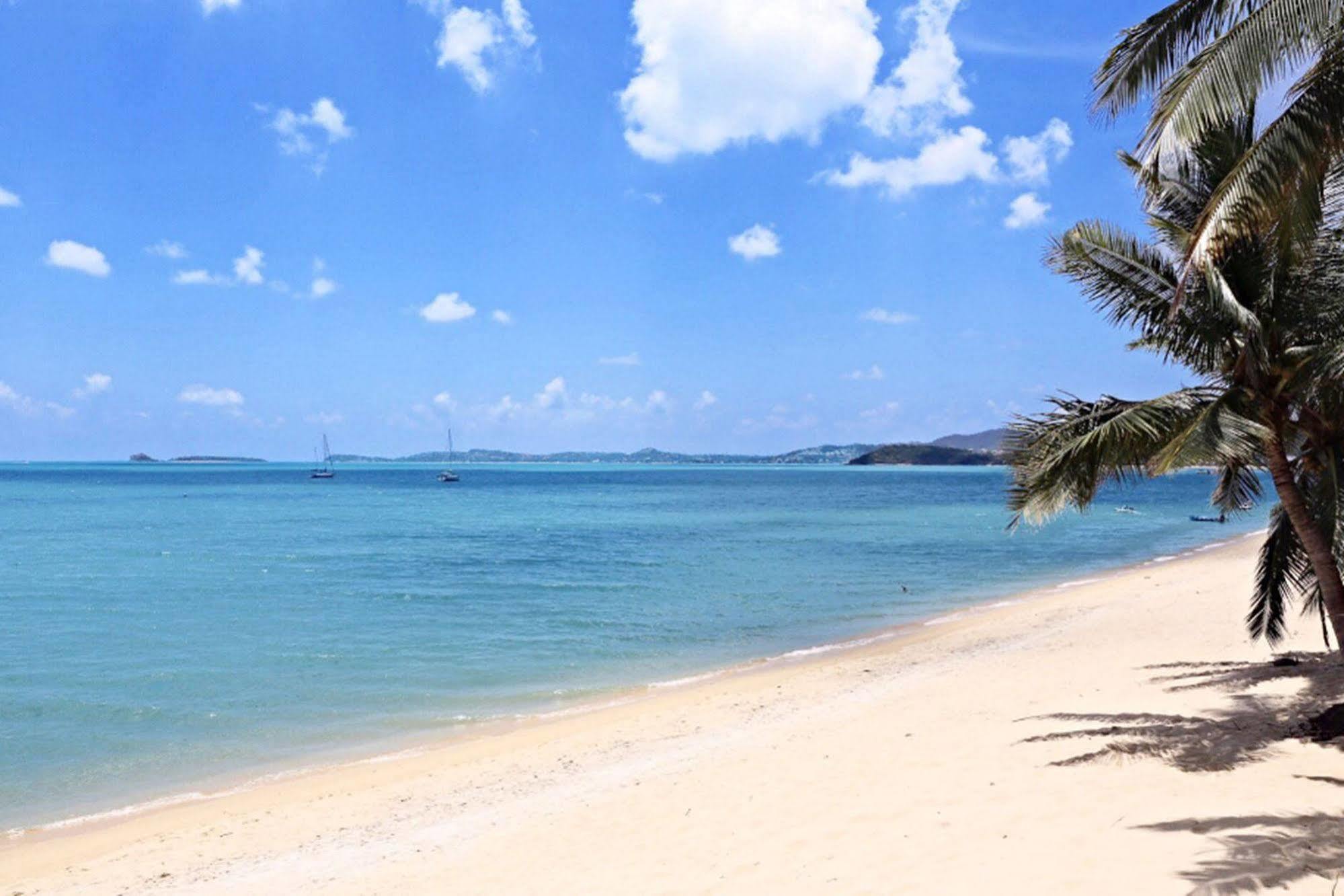 Samui Palm - Sha Extra