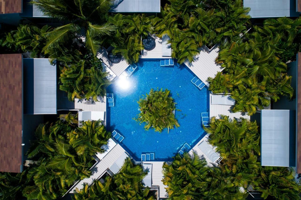 Coconutspalm