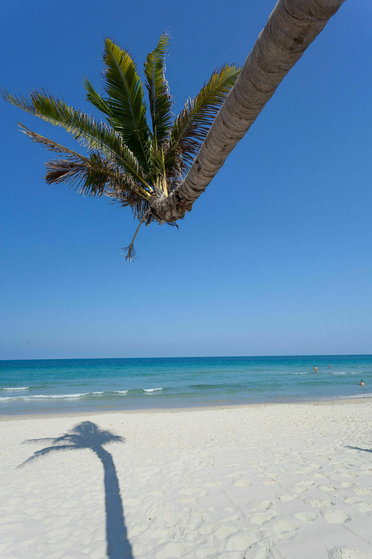 Hotel The Samui 4*