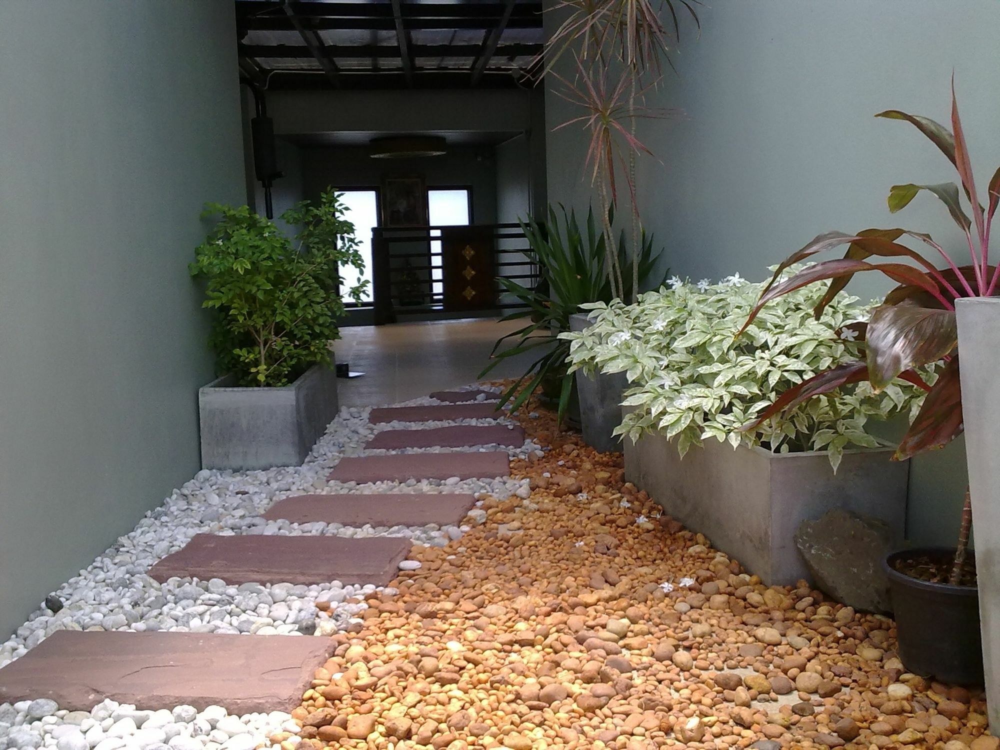Lamoon & Guest house