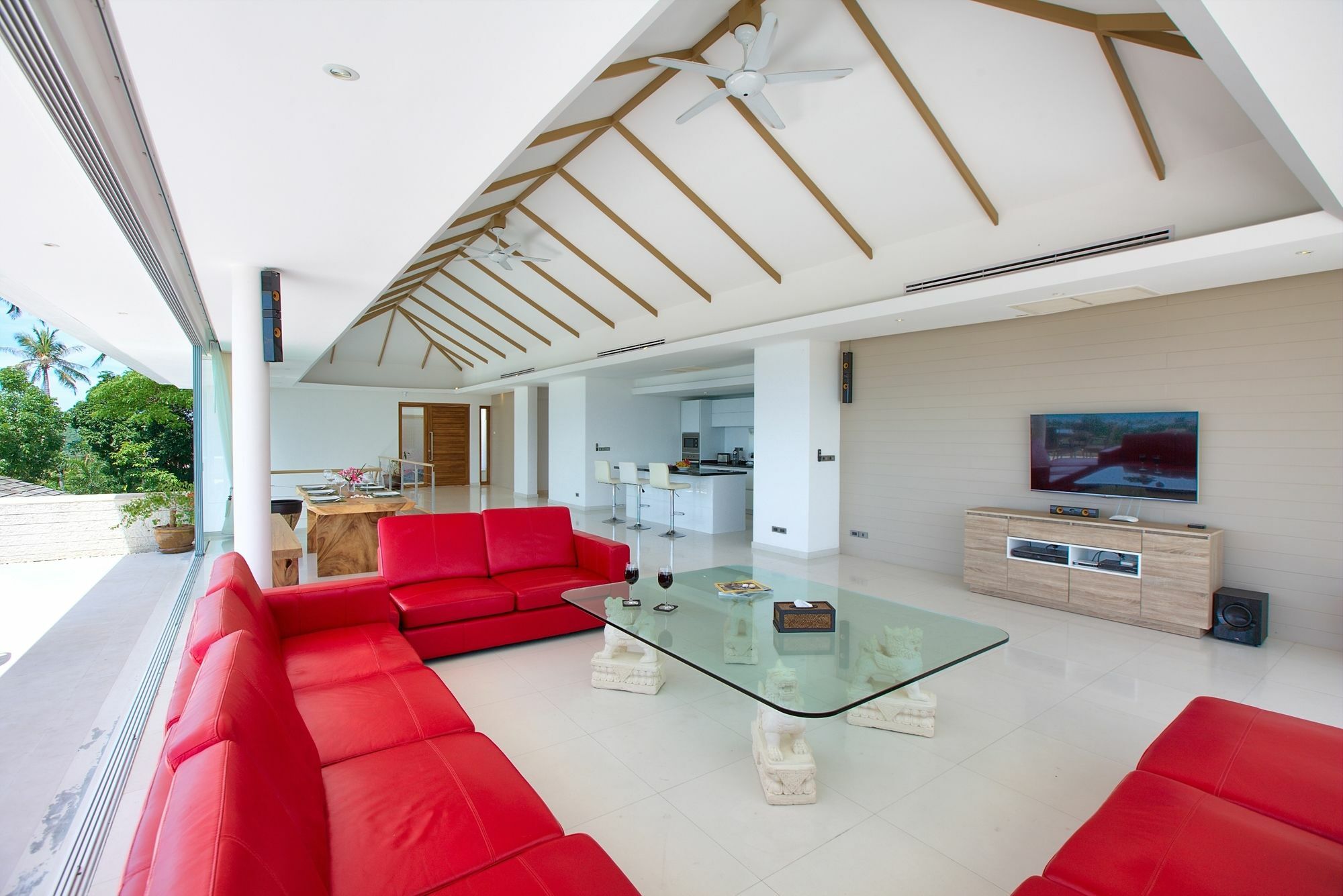 White Tiger - Contemporary Sea View