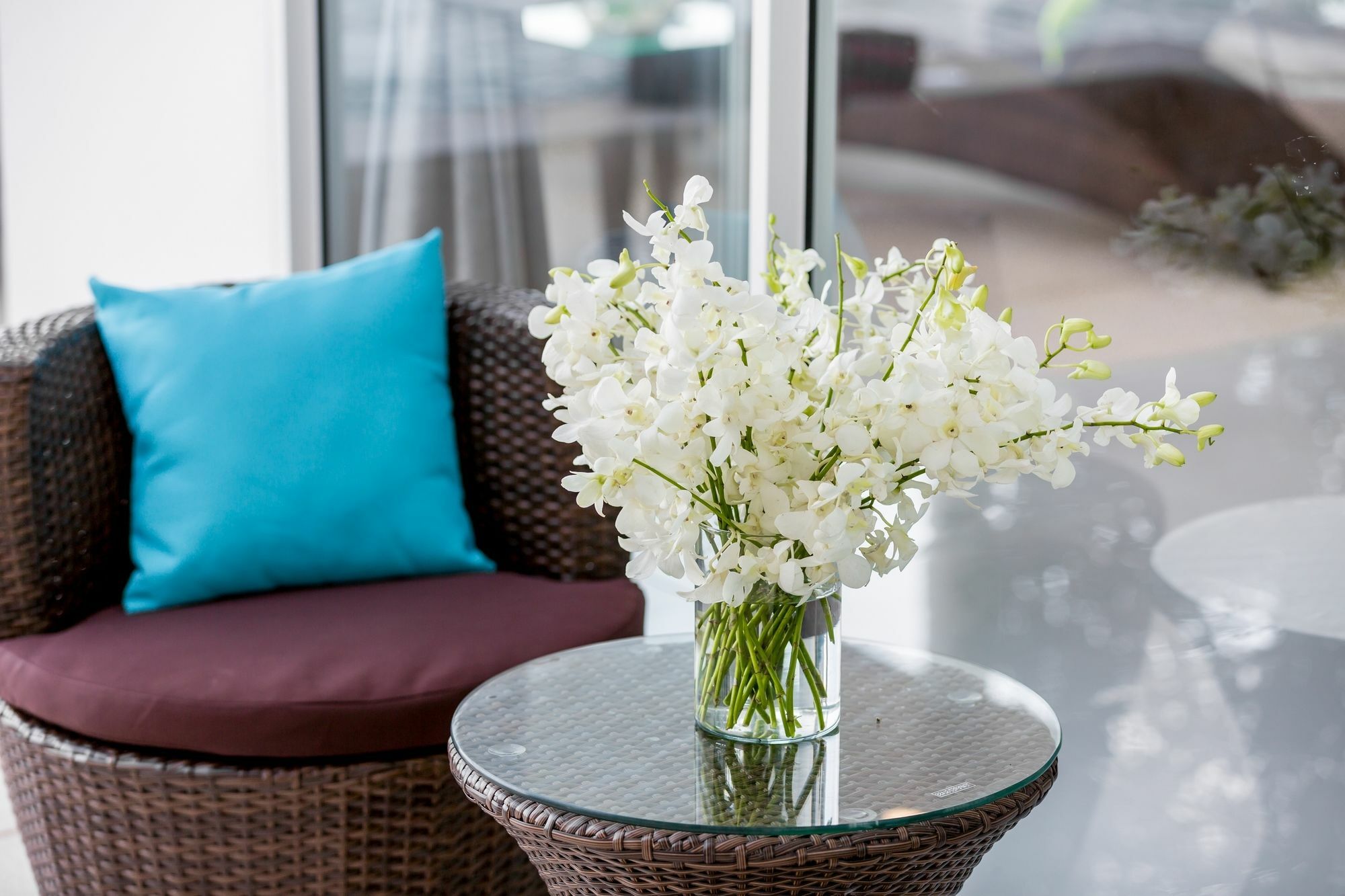 Lily With Great Sea View