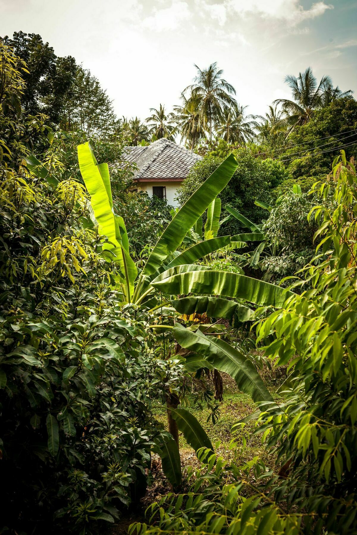 Cashew Nut Village Casa de férias