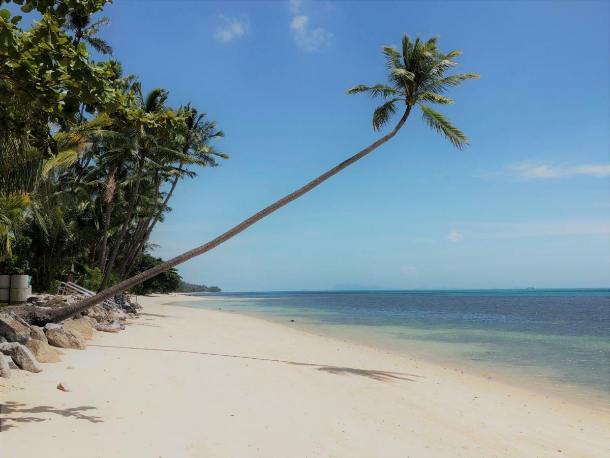 Pousada Fleur At Beachfront With Private Pool And 20m To Beach Ban Bang Po