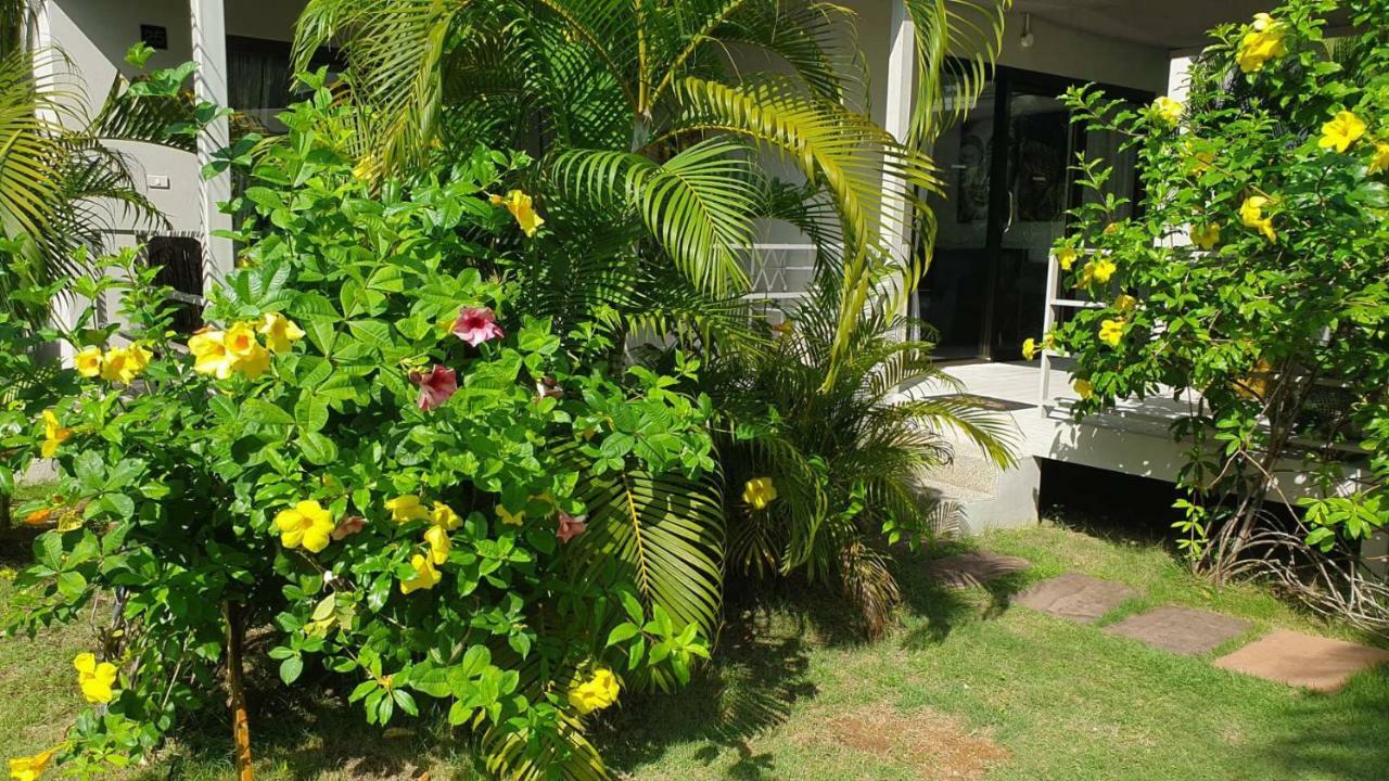 Coconutspalm Maret
