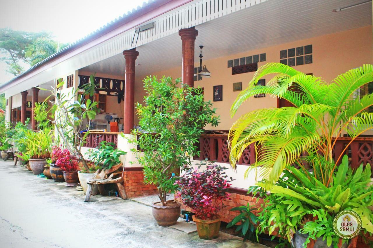 Banana House Pousada *