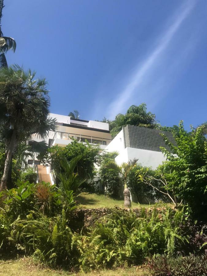 Wild Palms * Ban Tai (Koh Samui)