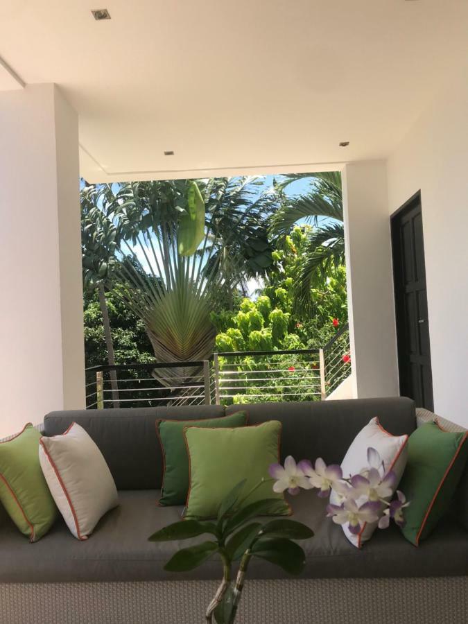 Wild Palms