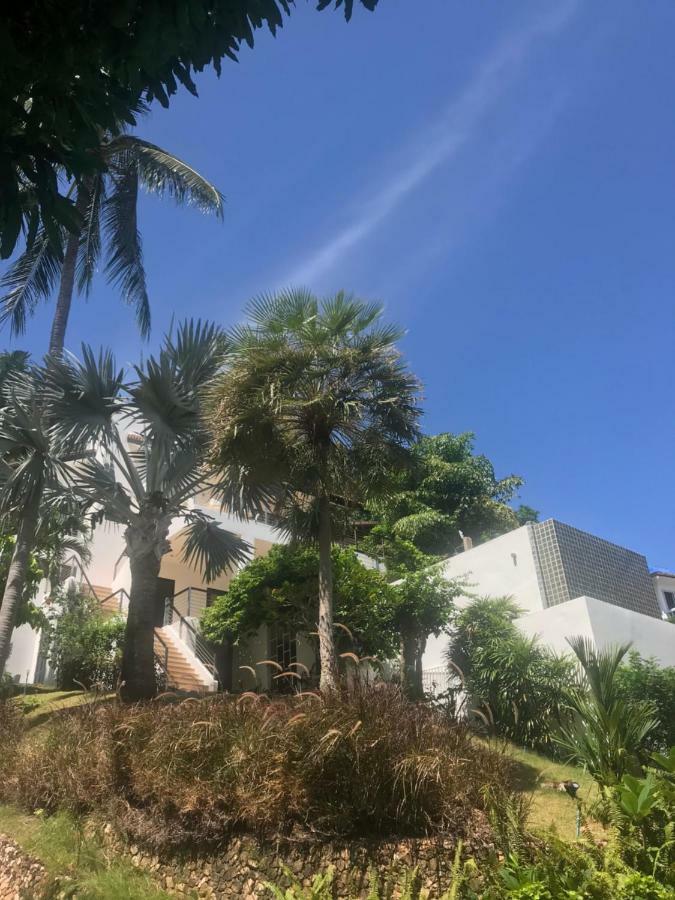 Wild Palms *
