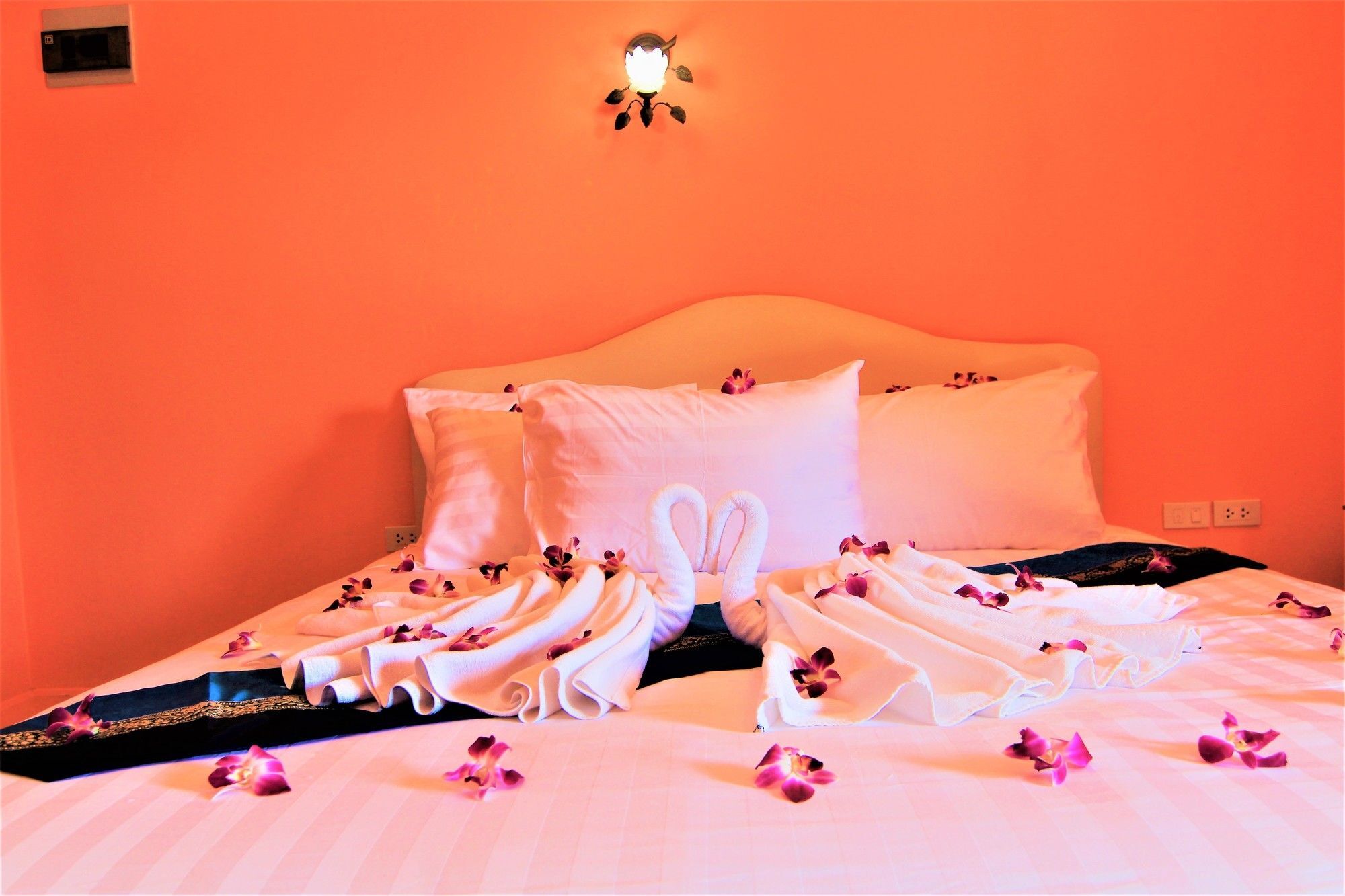 Hibiscus Samui Hotel 3*