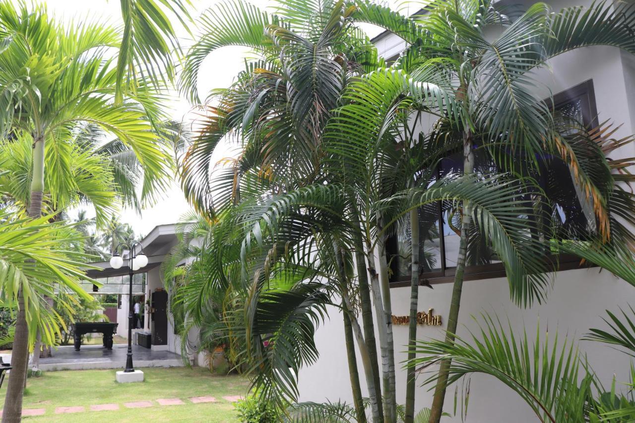 Coconutspalm Station touristique