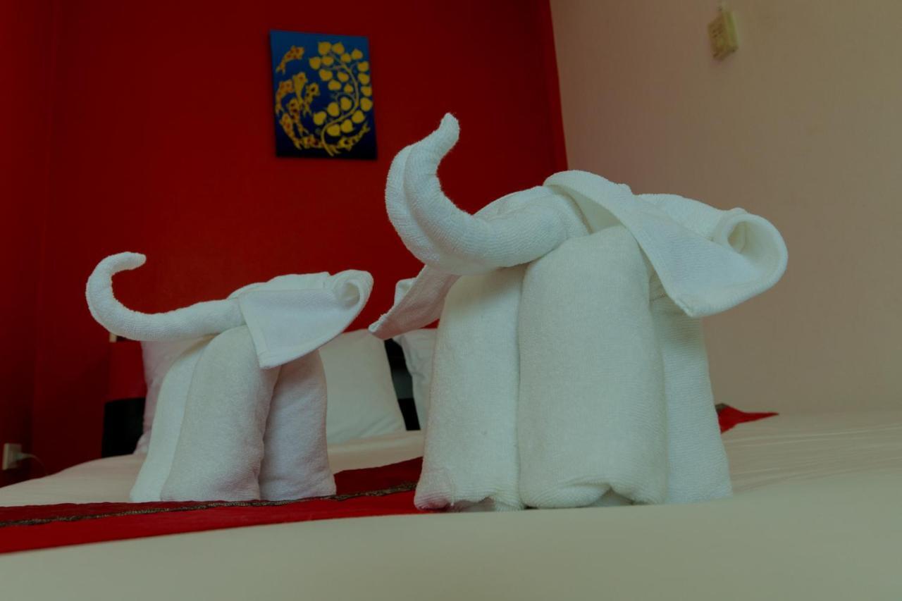 Guest house C.samui