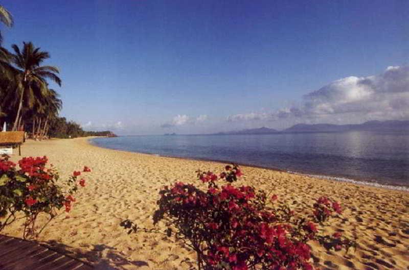 Seafan Hotel