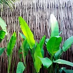 2Br 2Bath Eco Home Bungalow, Bangrak Beach, Koh Samui