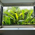 Cali Villa Samui