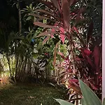 Samui Sunset 22G