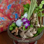 Natural Wing Health Spa And Resort