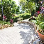 Olimp Apartment