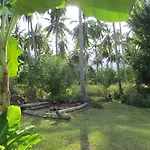 Big Trees Village Eco Friendly Resort