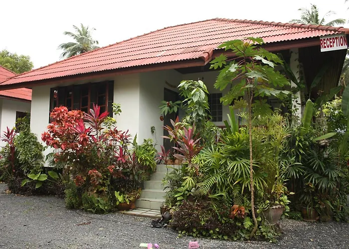 Big Trees Village Eco Friendly Resort