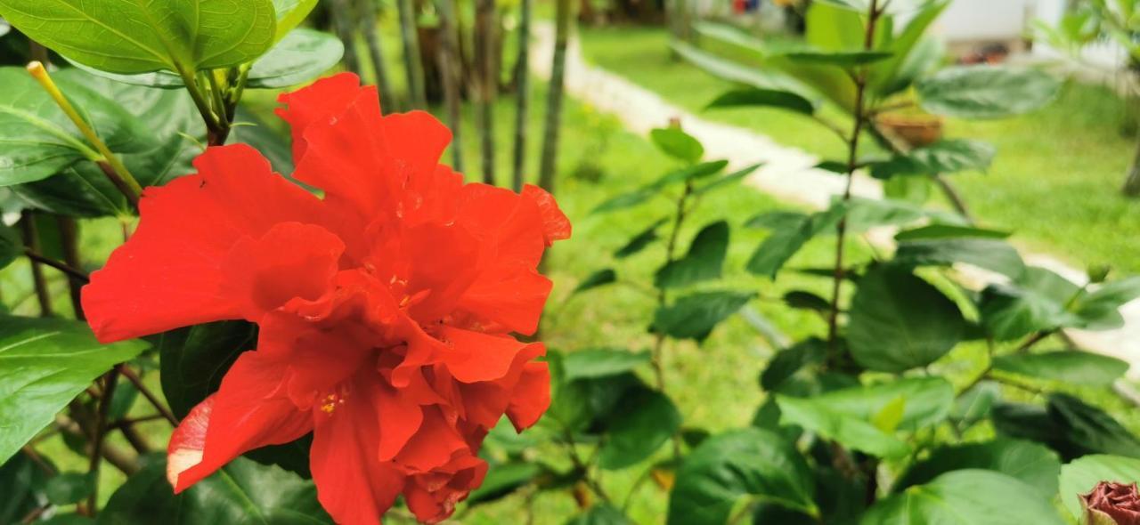 Asian Secret Holiday park Lamai Beach (Koh Samui)