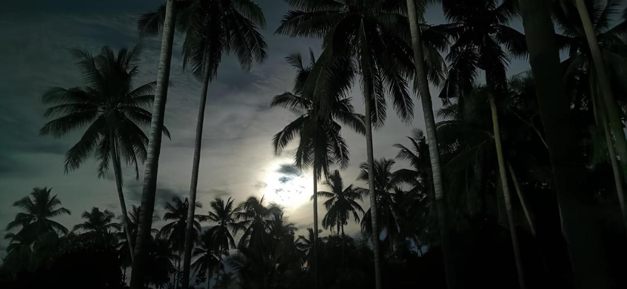 Asian Secret Holiday park