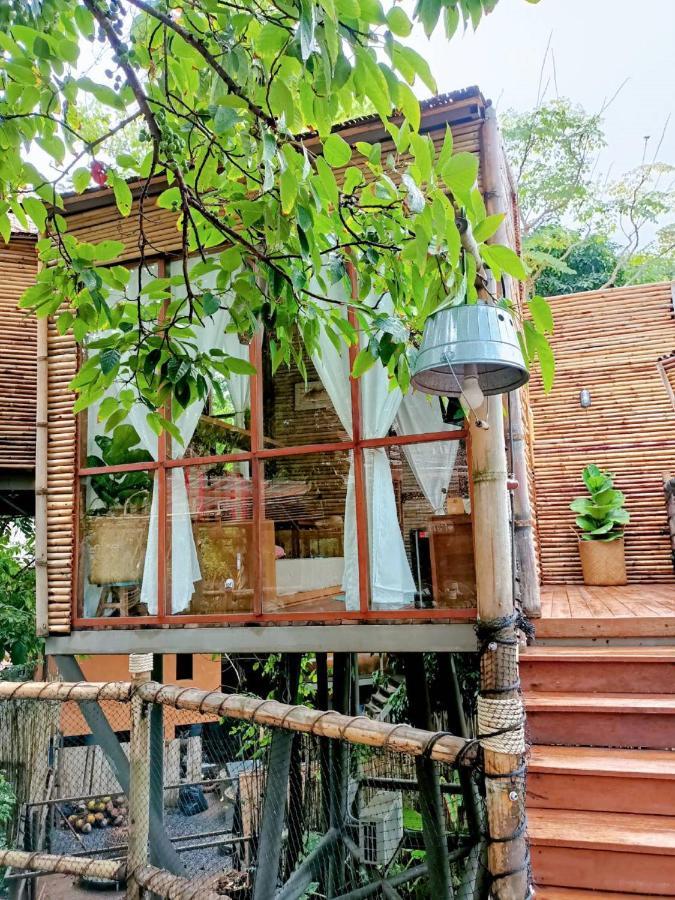 The Mud Bamboo Cafe And Beds