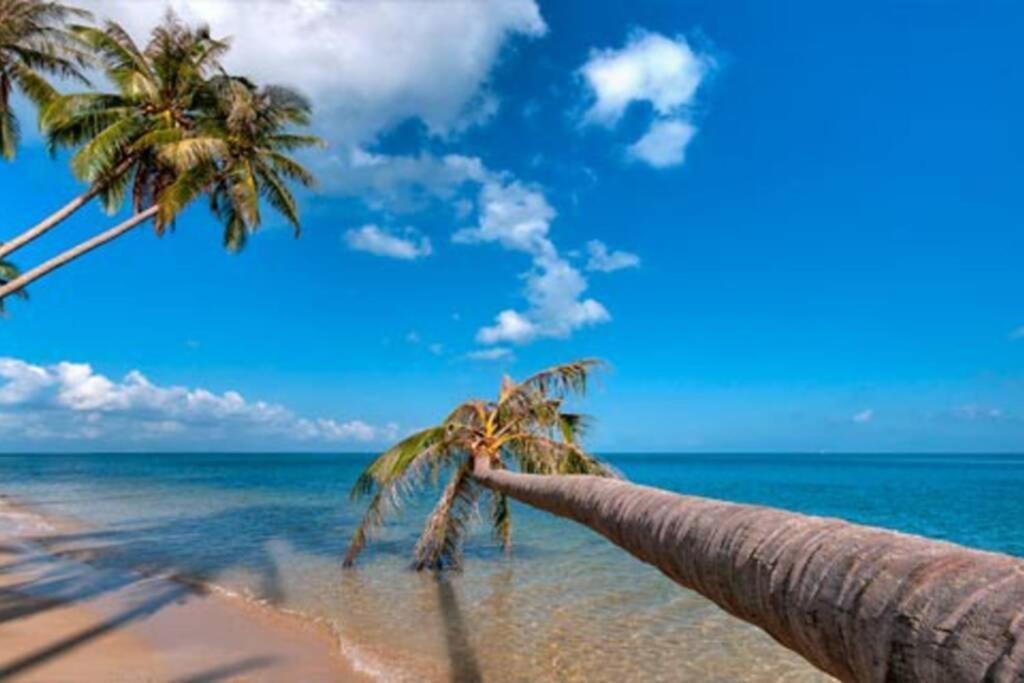 4 Bedroom Beachfront Villa-villa 3 Sdv024-by Samui Dream *