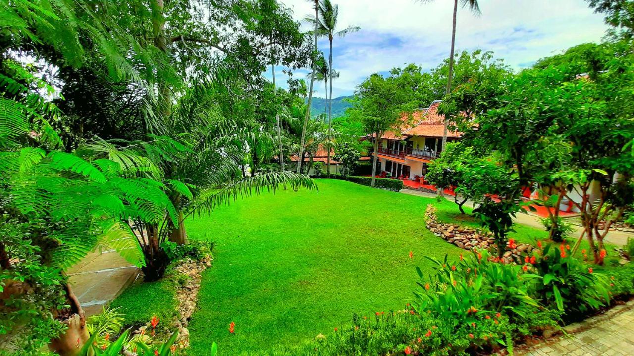 Resort Alpha Gay & - Men Only (adults Only) Chaweng (Koh Samui)