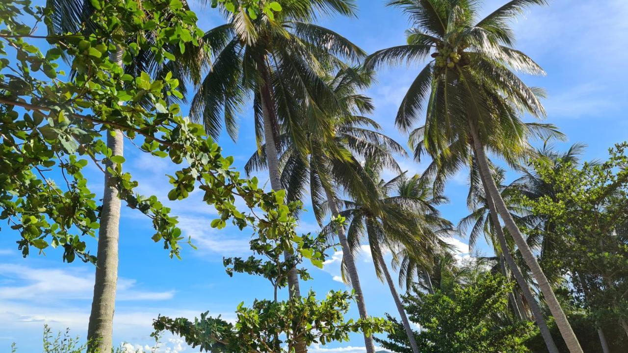 Casa de férias Laemsor *