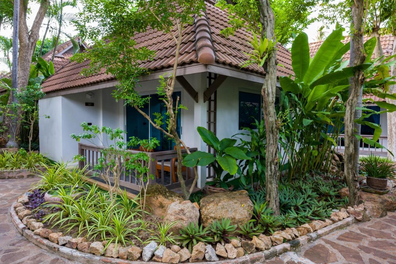 Samui Natien