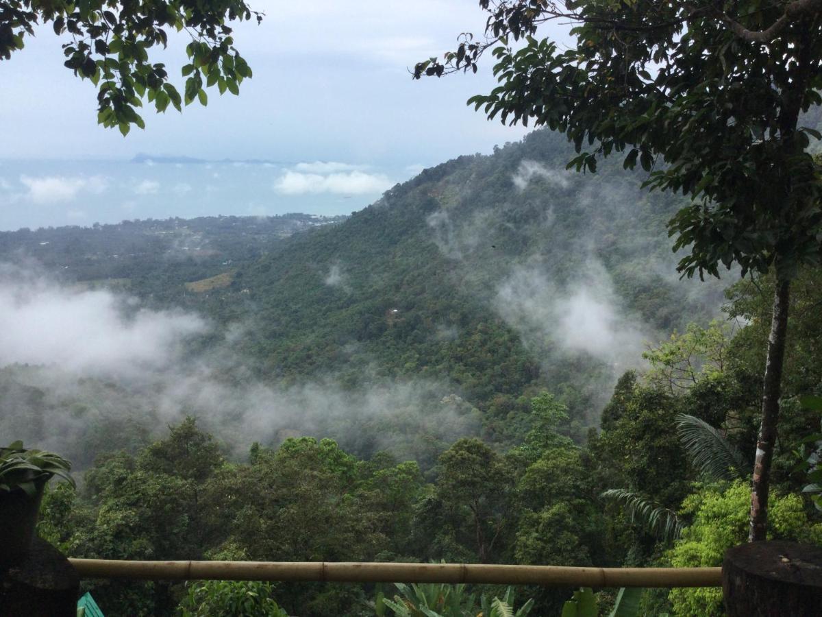 Camping Phulipa Jungle Camp