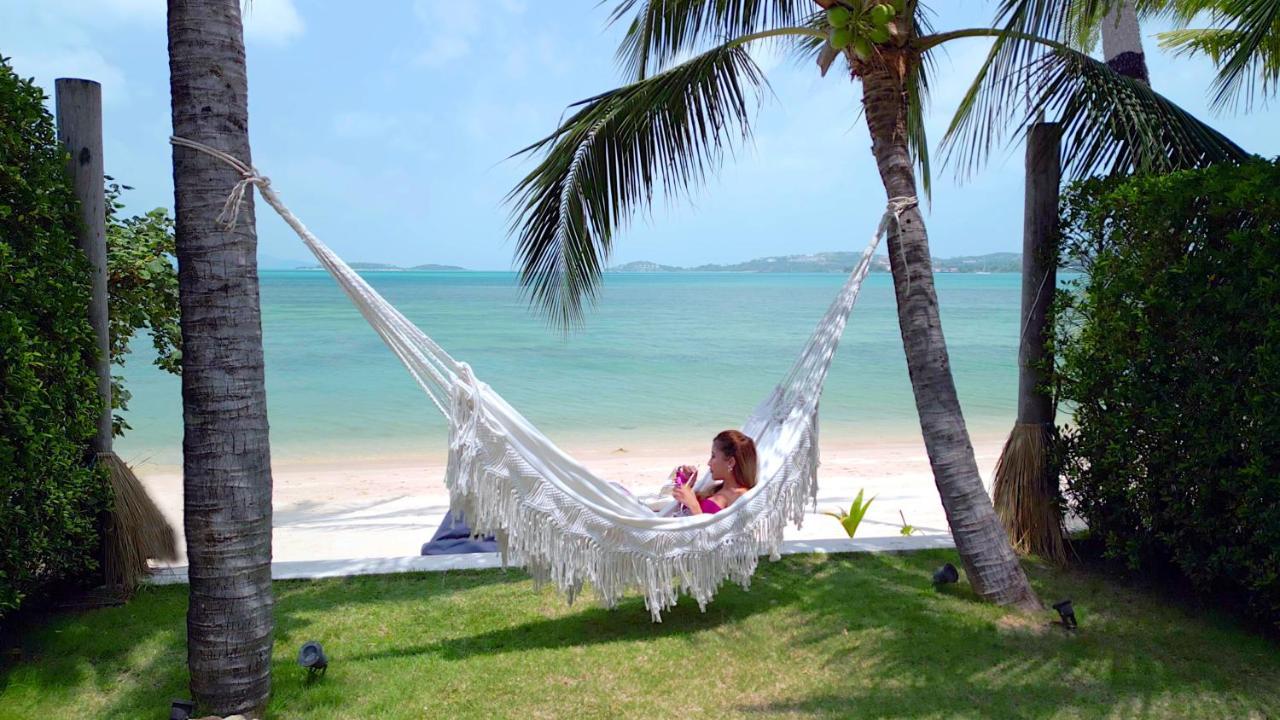 Guest house Odyssey - Luxury Beachfront Boutique - *