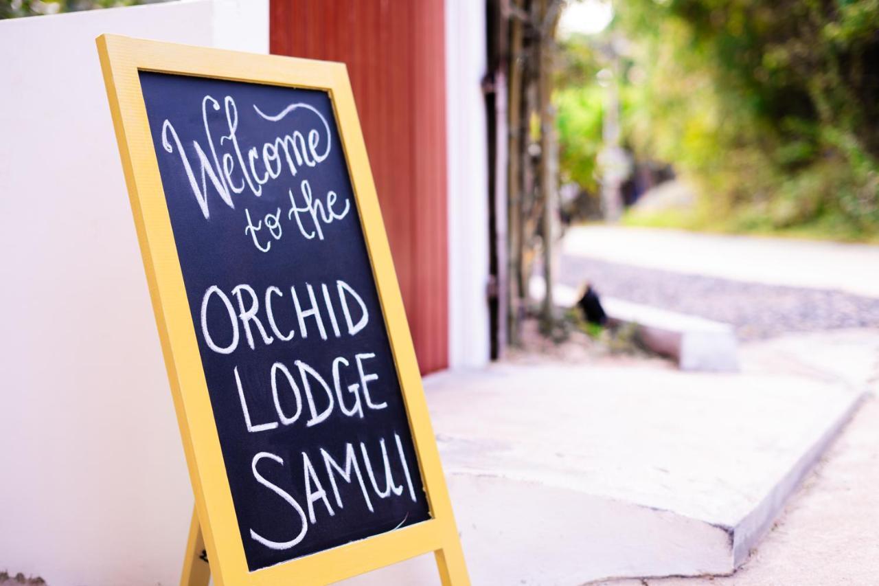 Ferienhaus Orchid Samui - *