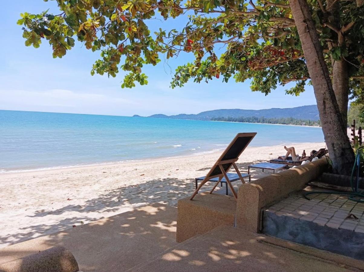 Chill Lipa Noi And Cafe Asrama Koh Samui