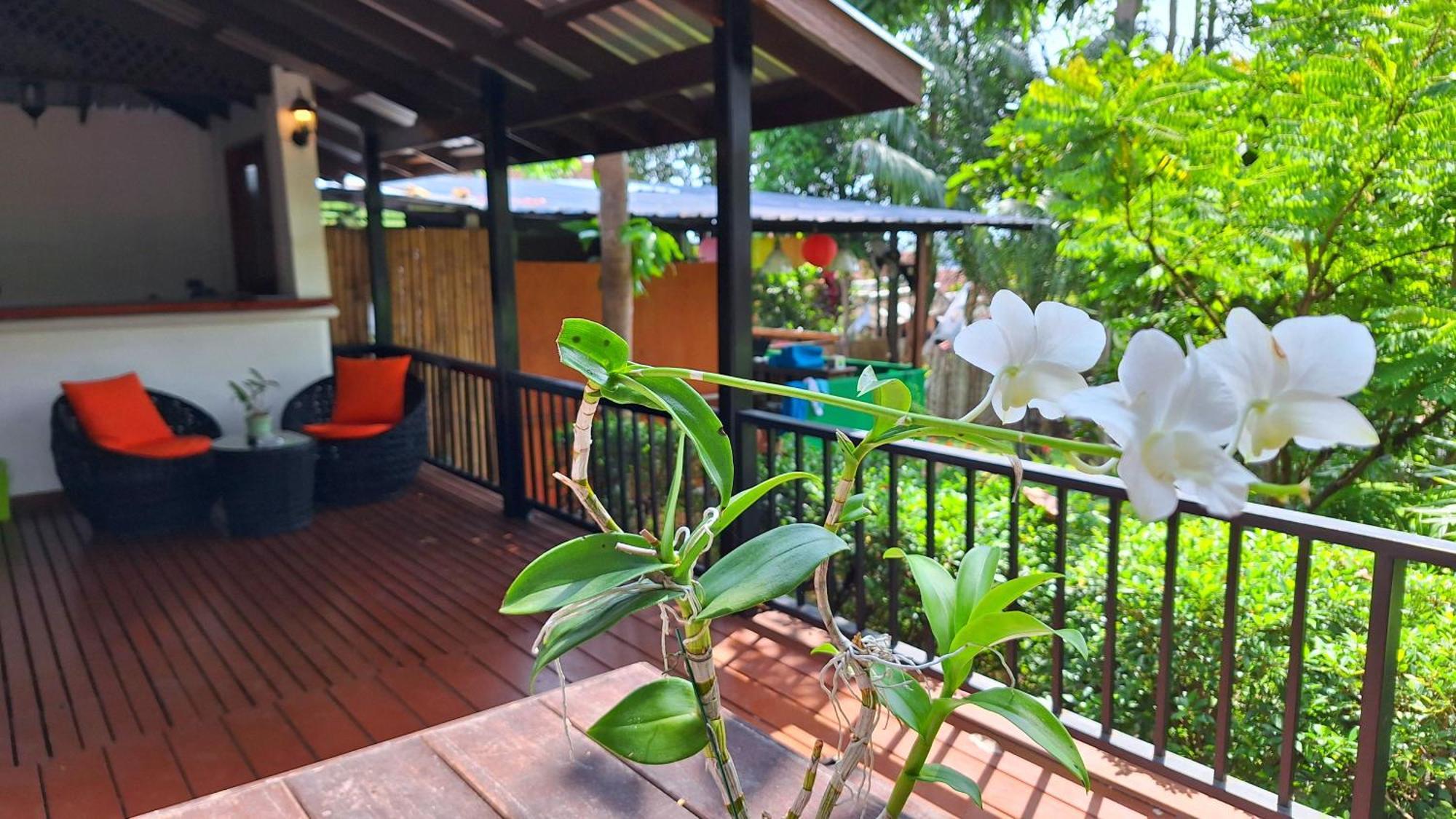 Alpha Gay & - Men Only (adults Only) Chaweng (Koh Samui)