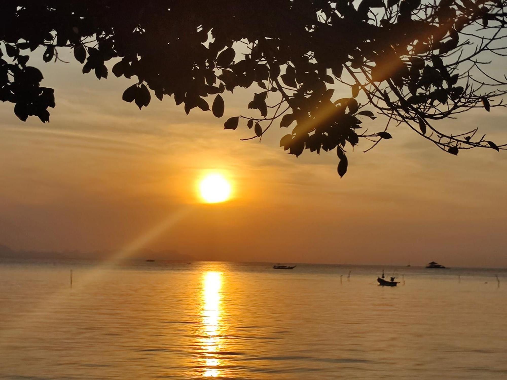 Links Sunset House *