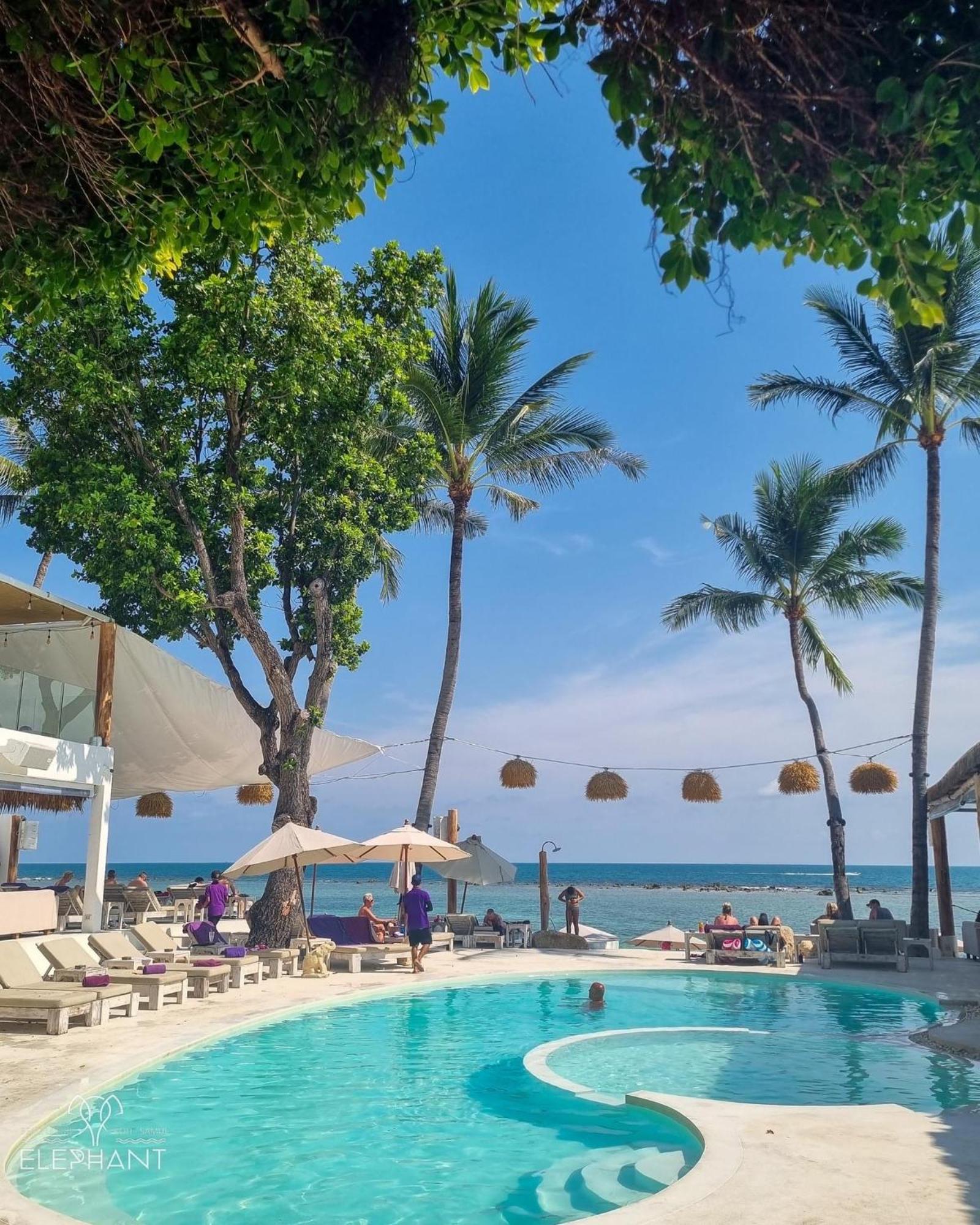 Elephant Club & Samui 4*