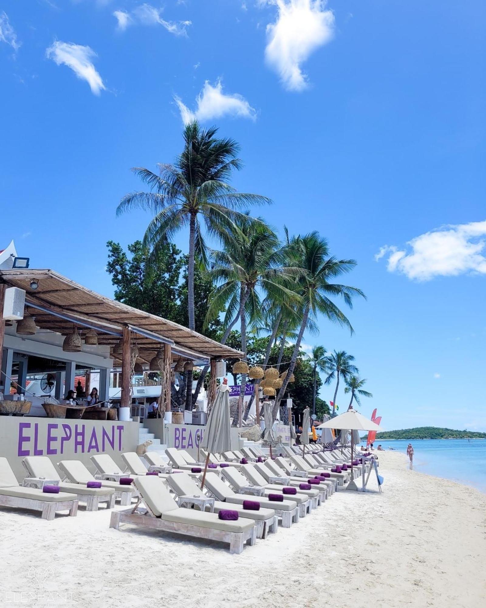 Elephant Club & Samui