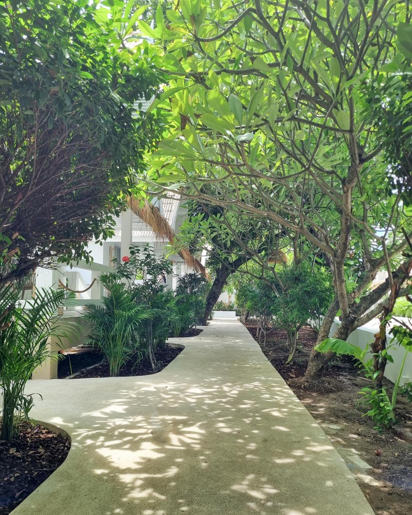 Elephant Club & Samui