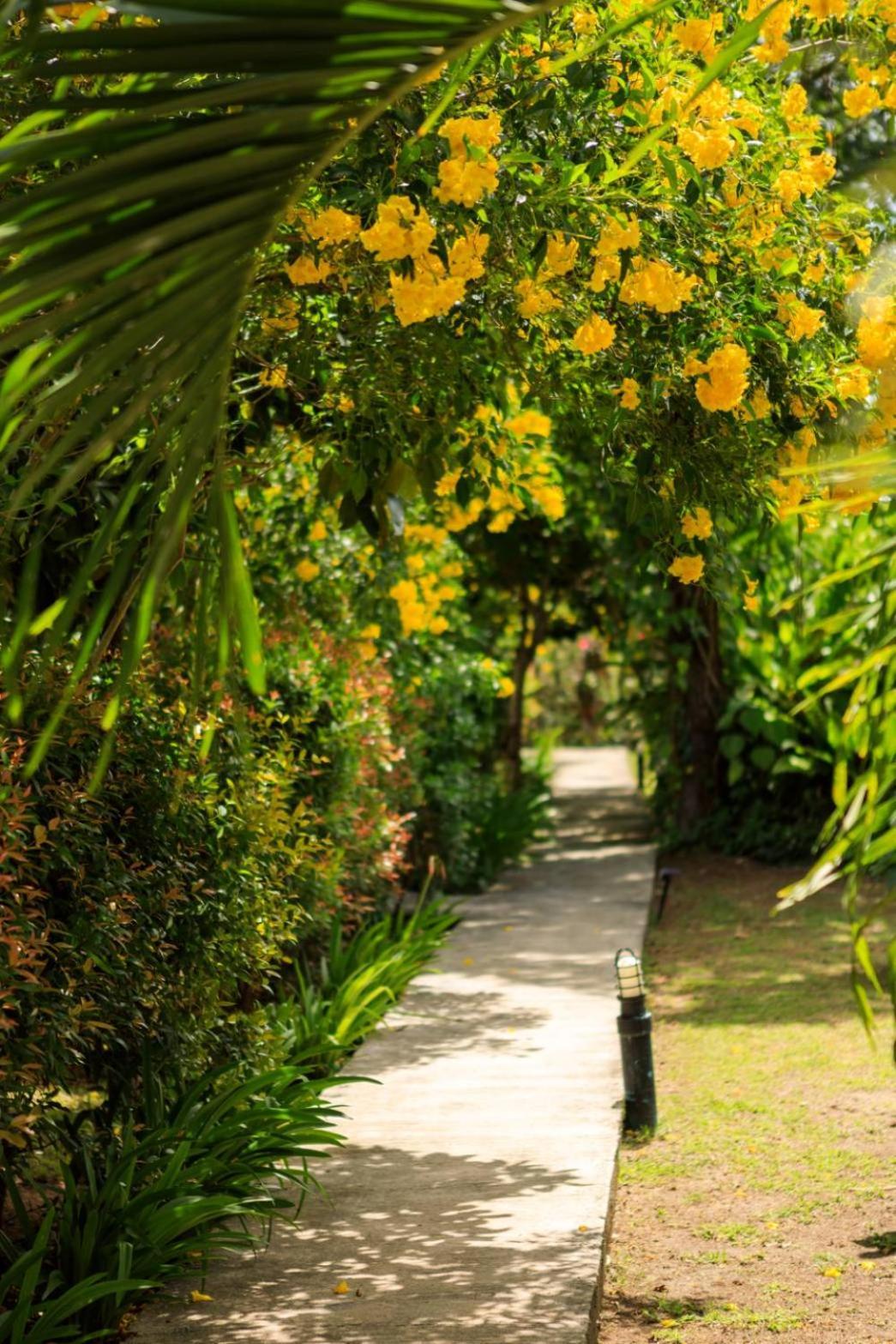 Bang Po Garden