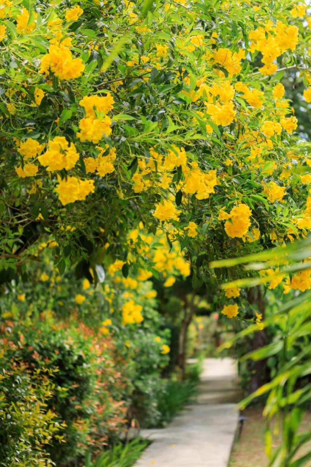Bang Po Garden Resort