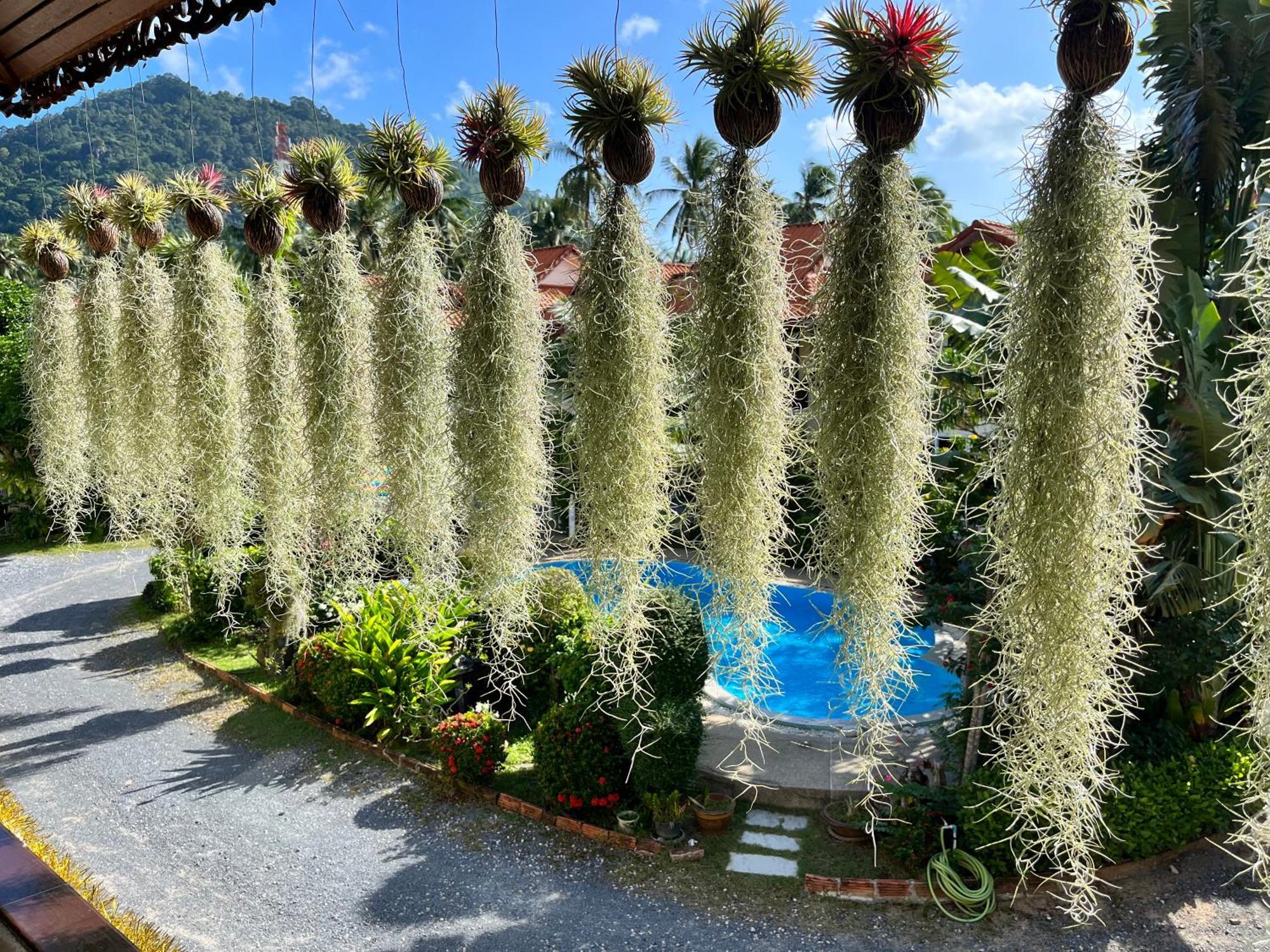Amy Village Garden Resort&digital Hub Ferienpark 3*