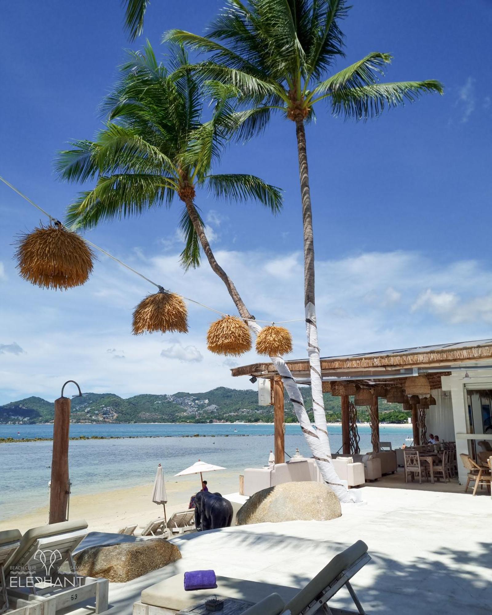 Elephant Club & Samui Station touristique 4*